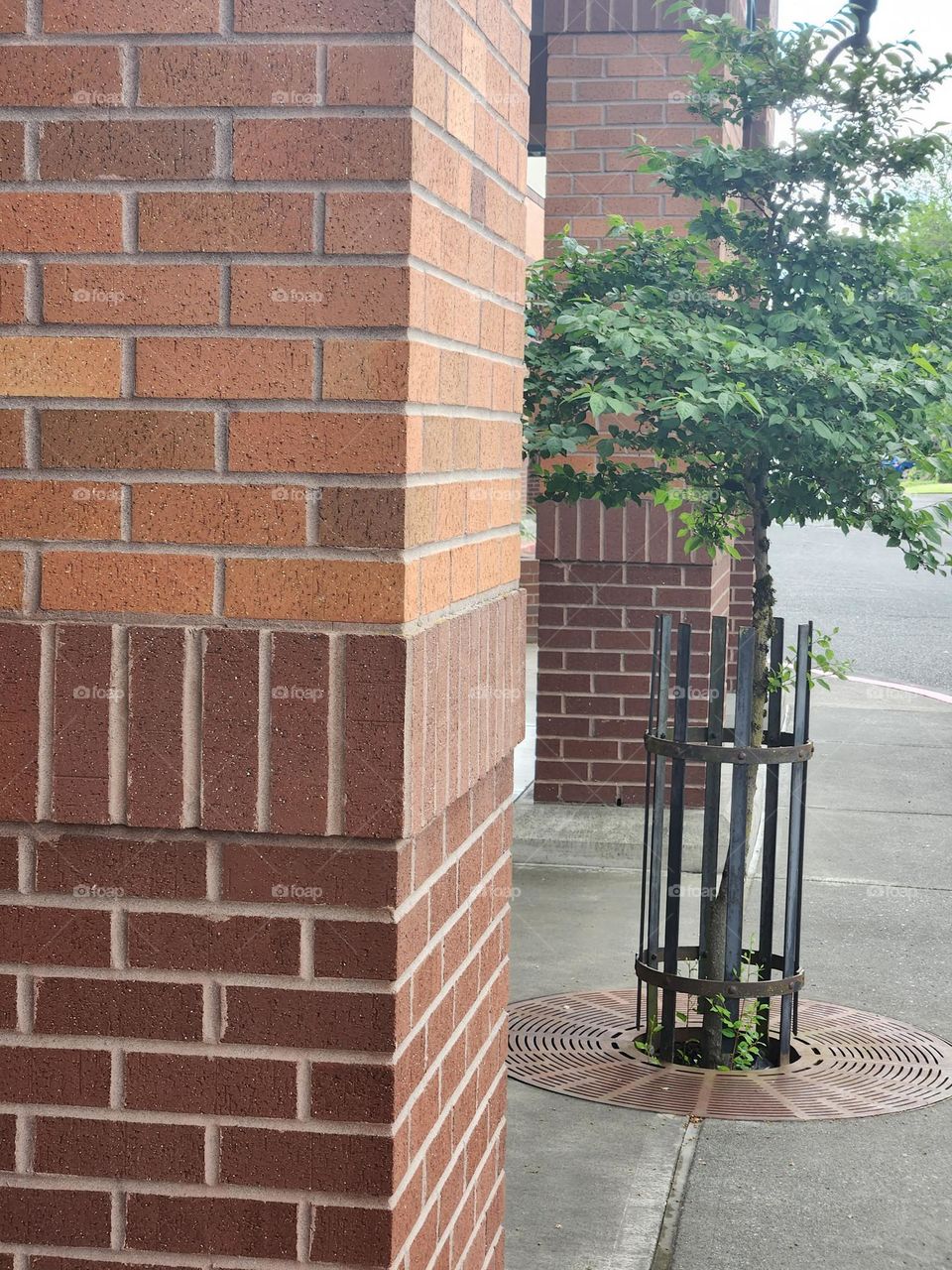 brick column and caged tree in outdoor shopping center