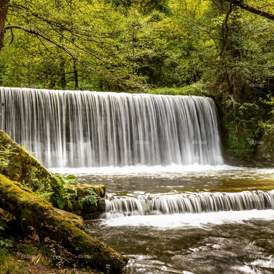 Nice waterfall in a forest