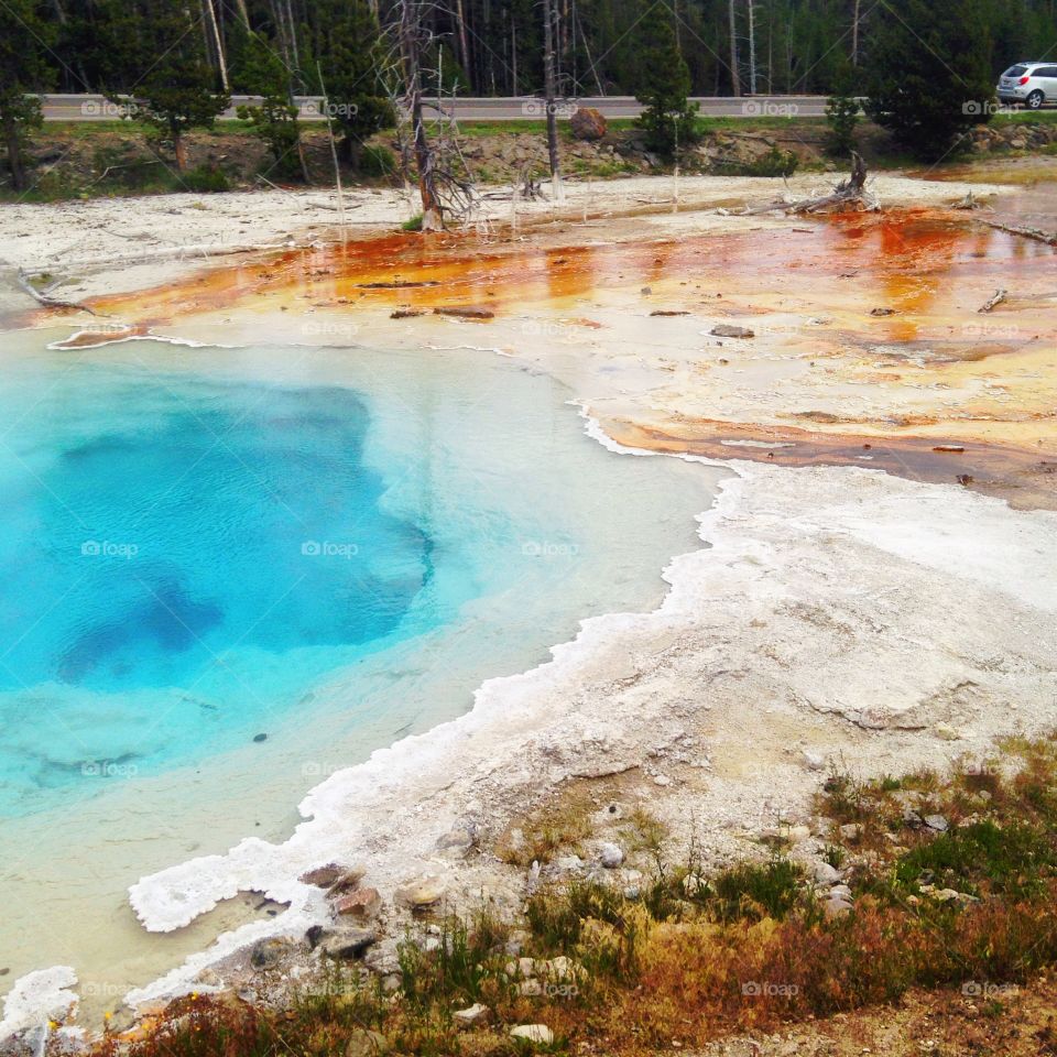 Colors in nature. Geothermal pools at Yellowstone National Park