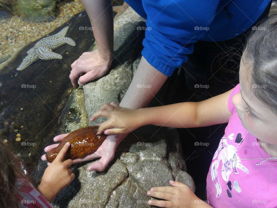 San Francisco Aquarium