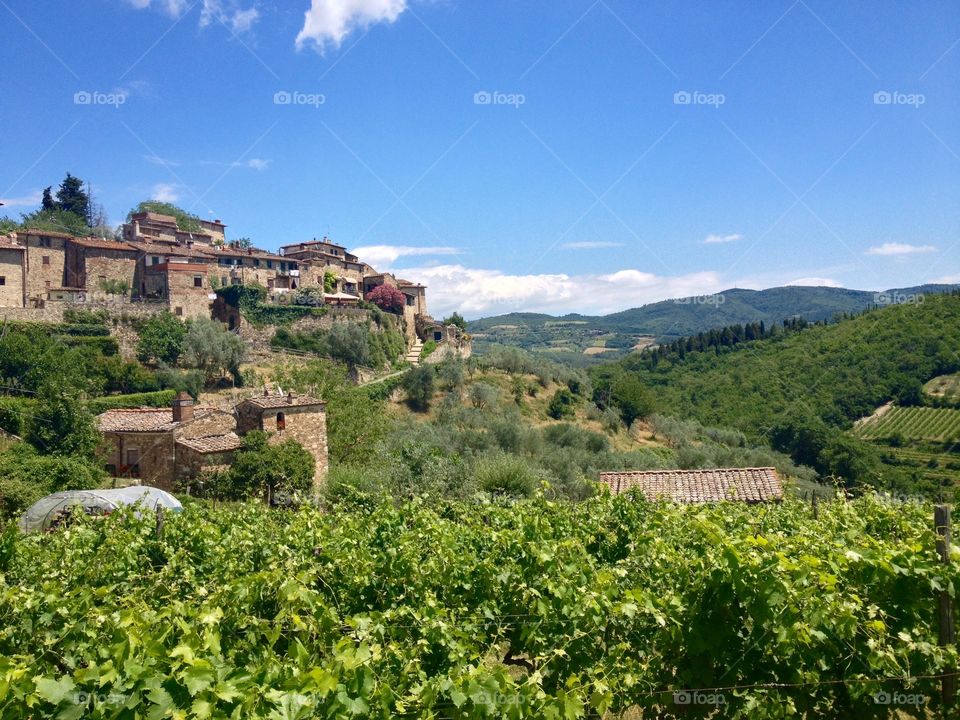 The views of Montefioralle and its vineyards, in Chianti