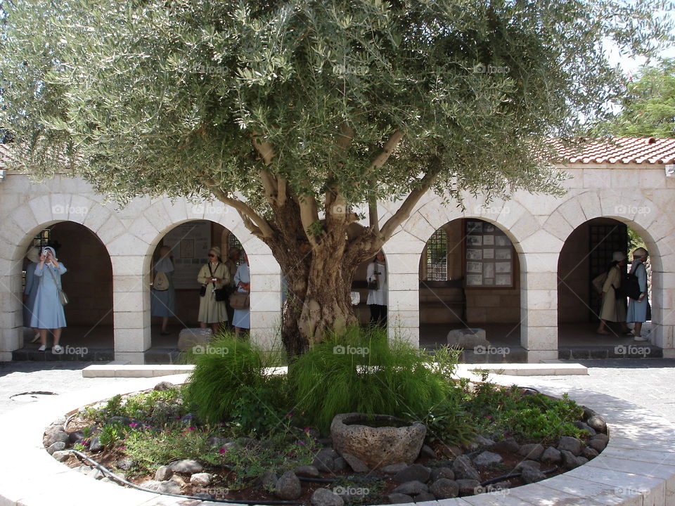 Church of Beautitude