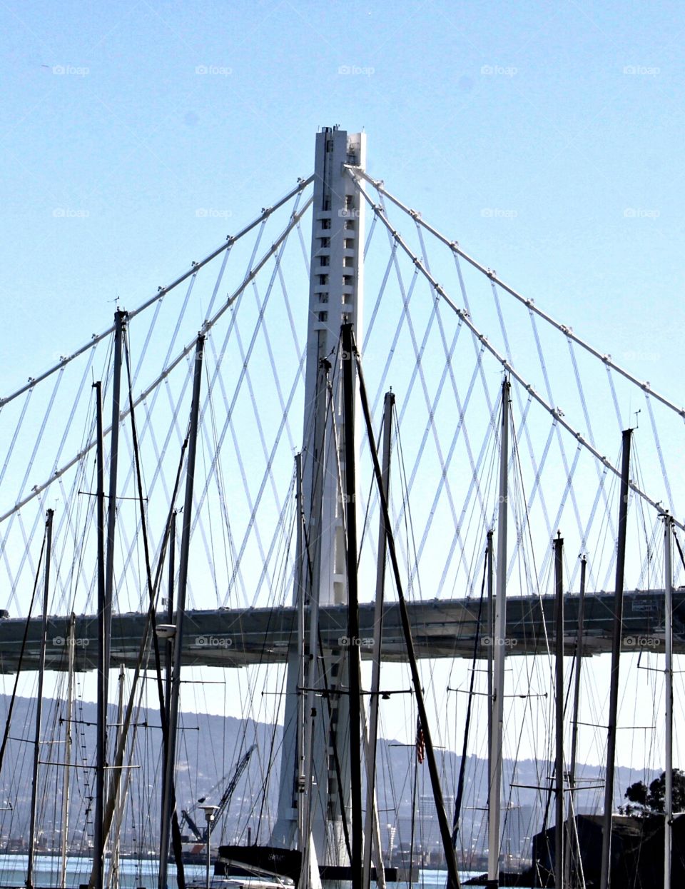 suspension bridge sailboats