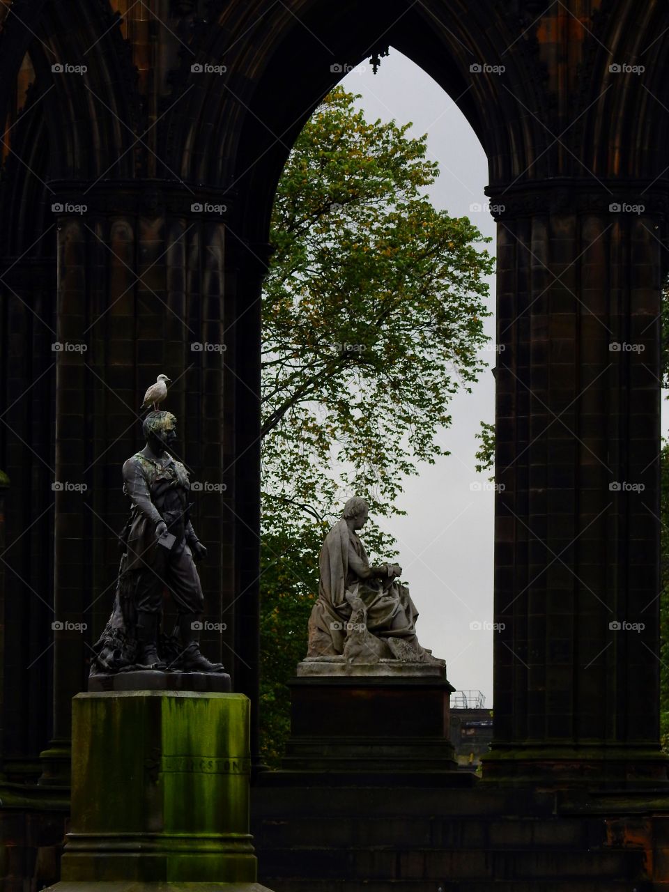 Seagull perching o statue