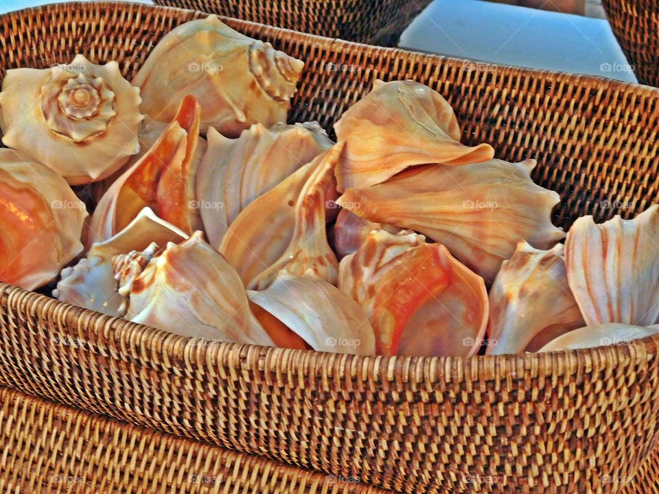 A h basket of shells