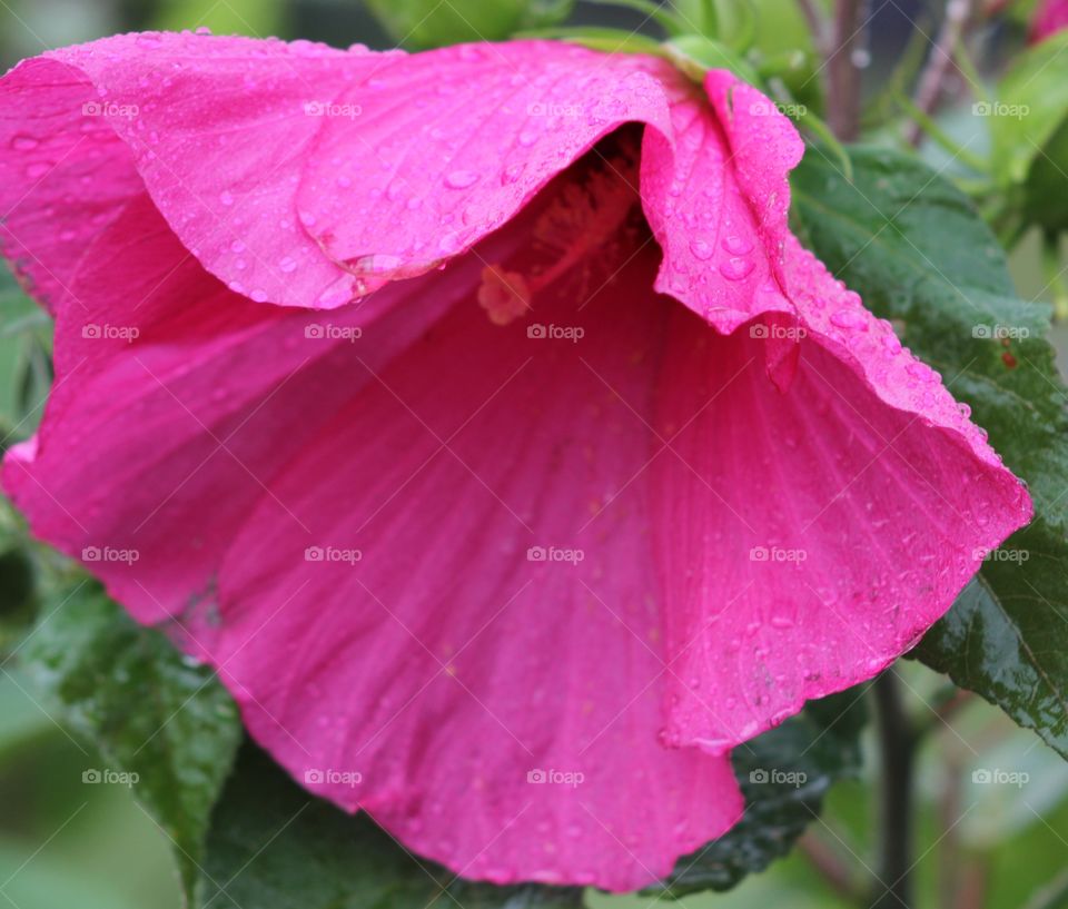 shelter from the rain