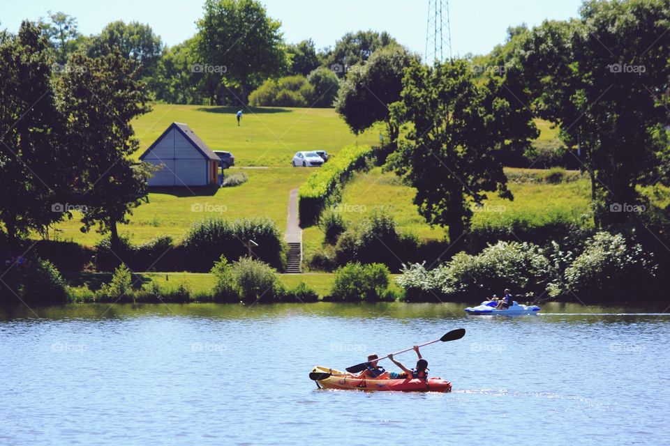 Water, Lake, River, Canoe, Tree