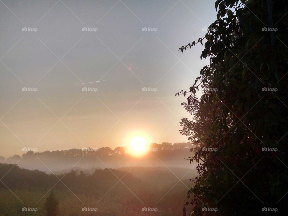 Dawn, Sunset, Landscape, Sun, Fog