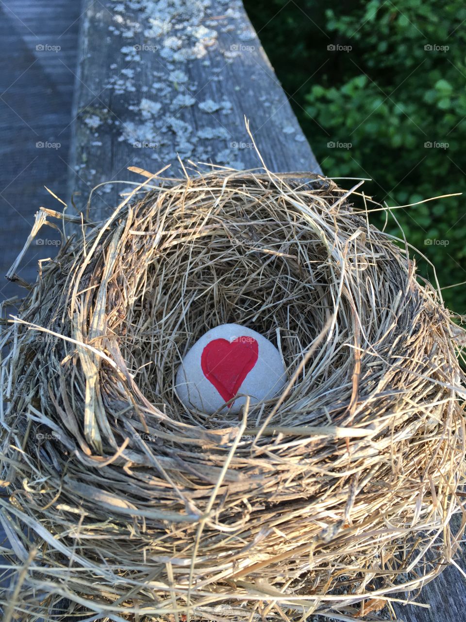 Nest with heart