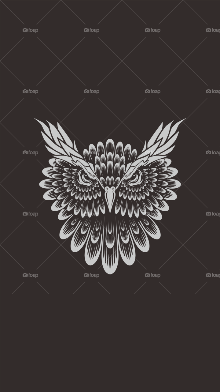 Design head owl nice.