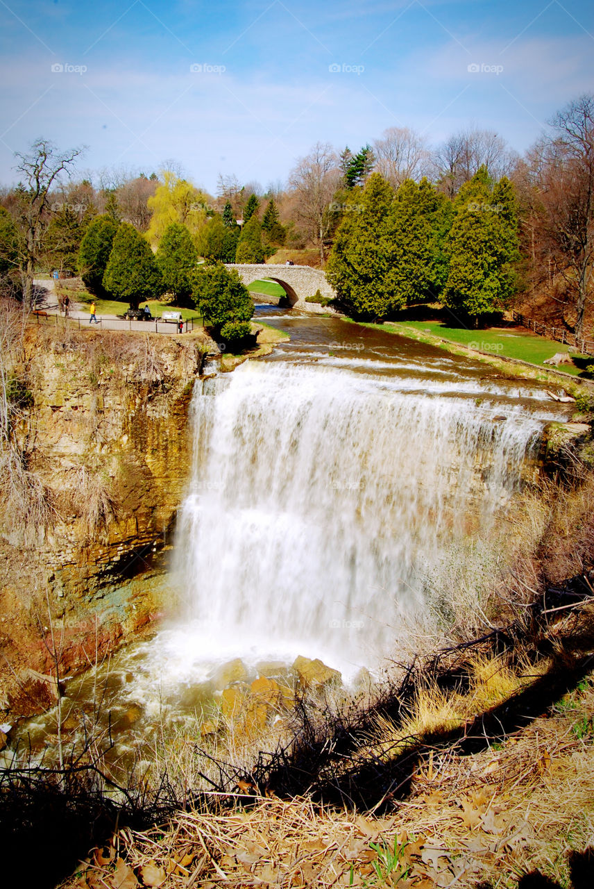 Webster's Falls