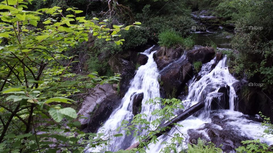 Beaver Creek falls