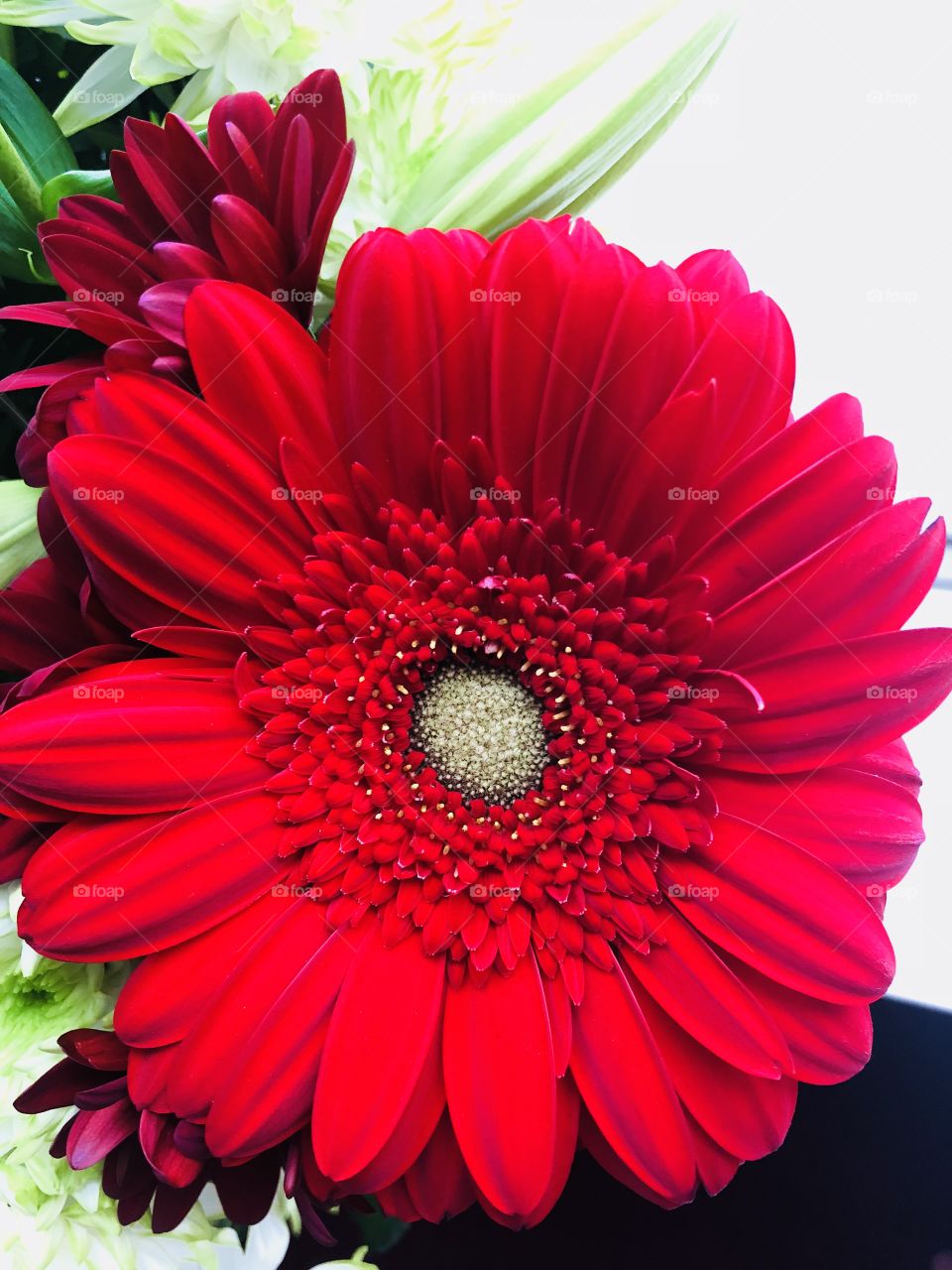 Beautiful red flower