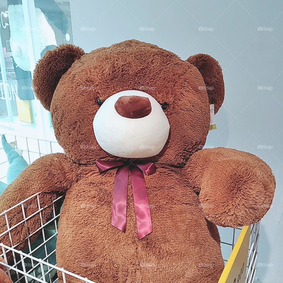 Teddy bear doll