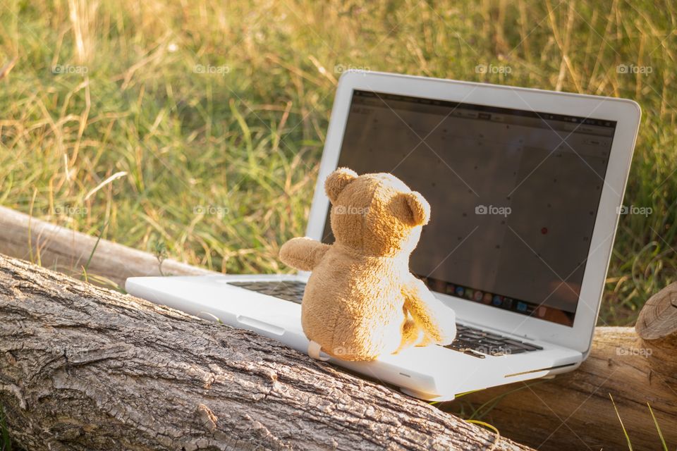 Teddy Bear sitting on a notebook 