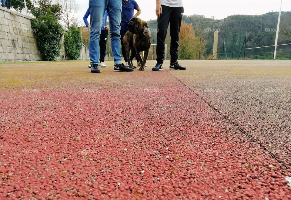 Group of teenagers on a tennis court with their dog on a spring afternoon