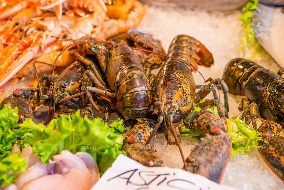 Food, Seafood, Shellfish, Lobster, Crustacean