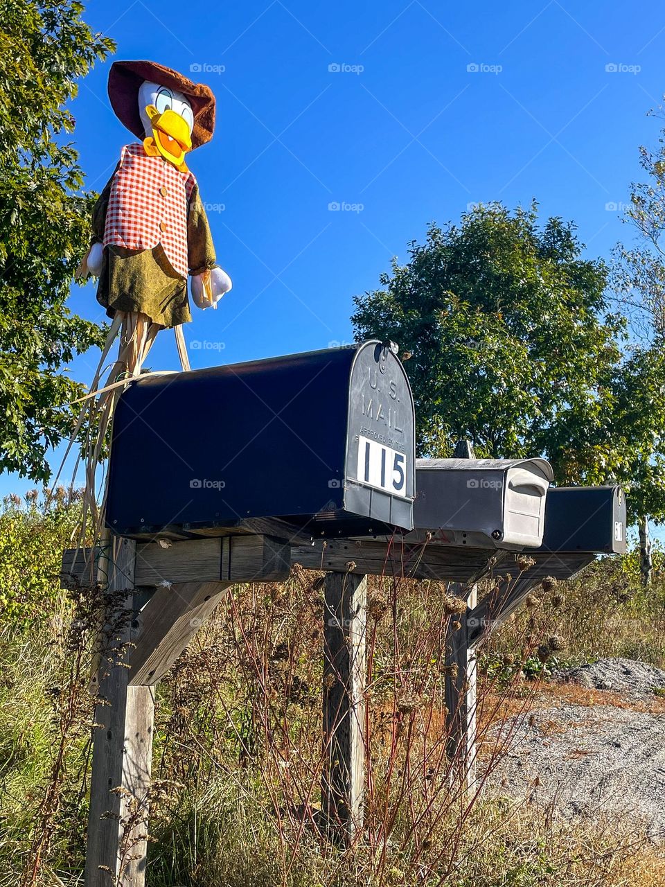 Scare… duck?  Unique take on a scarecrow poised over a row of mailboxes in the country.