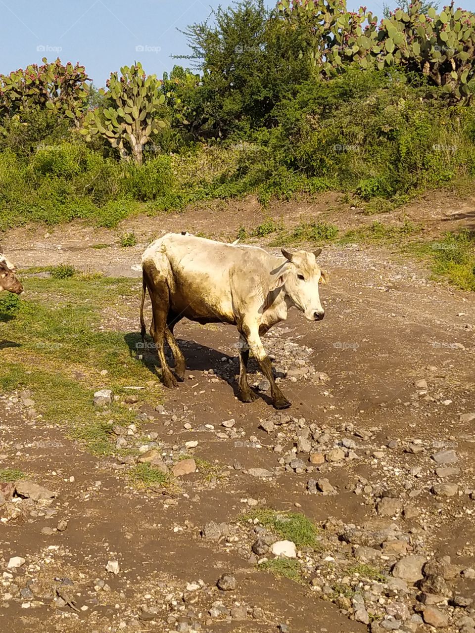 Visitando la Naturaleza, lo mejor