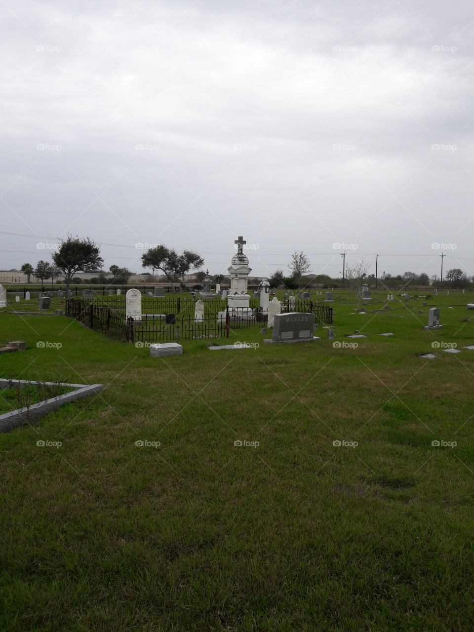 Landscape, Cemetery, Tree, Grass, No Person