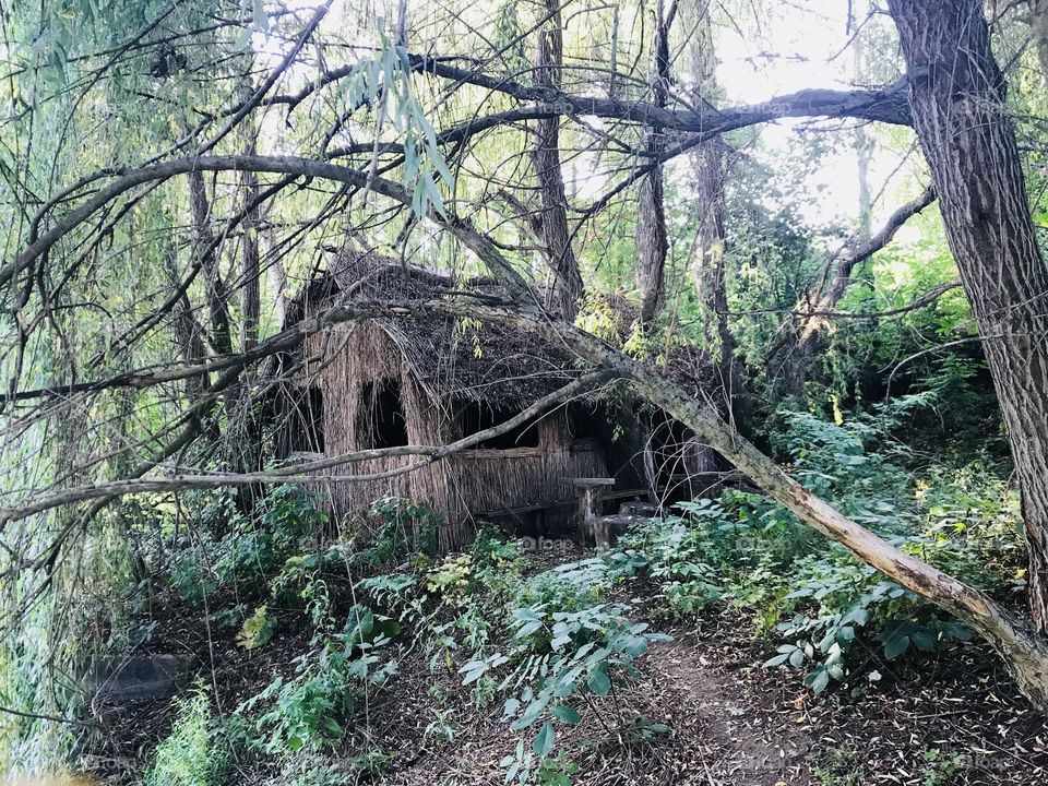 Old abandoned house in the forest 