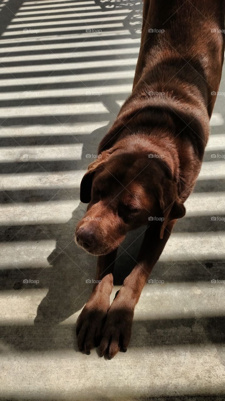 stretch time. morning stretch