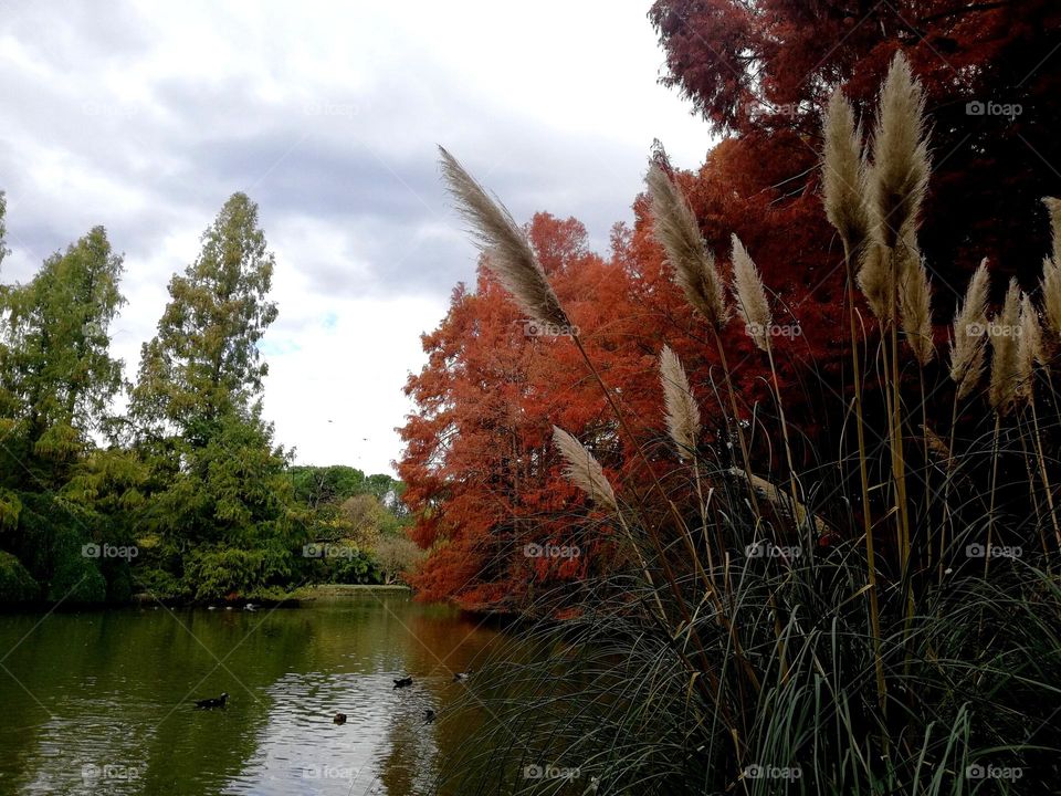 parco a Faenza Ravenna