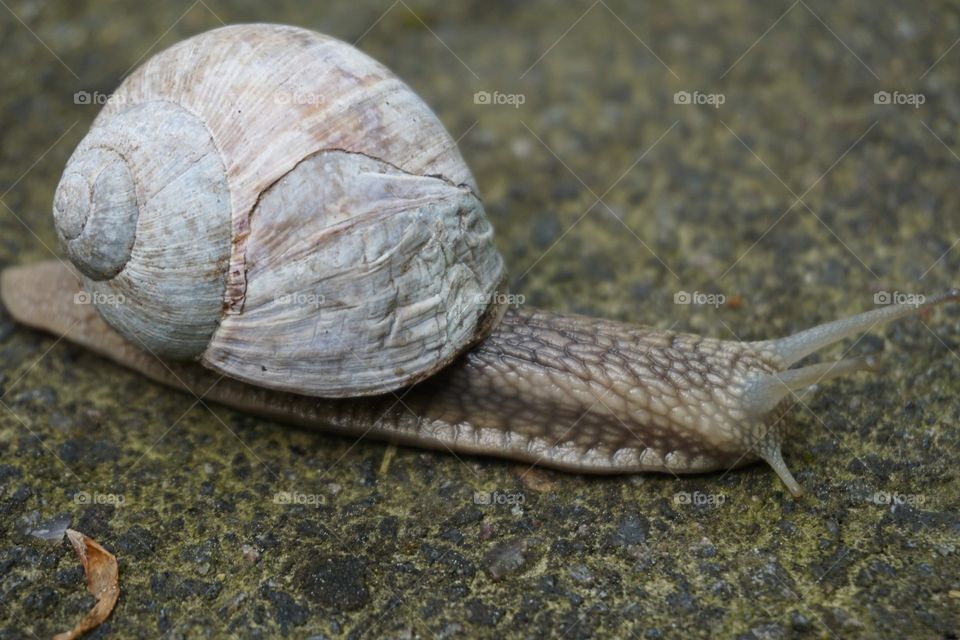 Slowly, Slowly, slowly