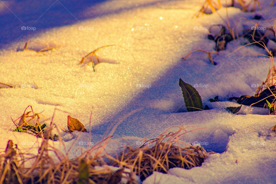 Sun shining over a snow covered field