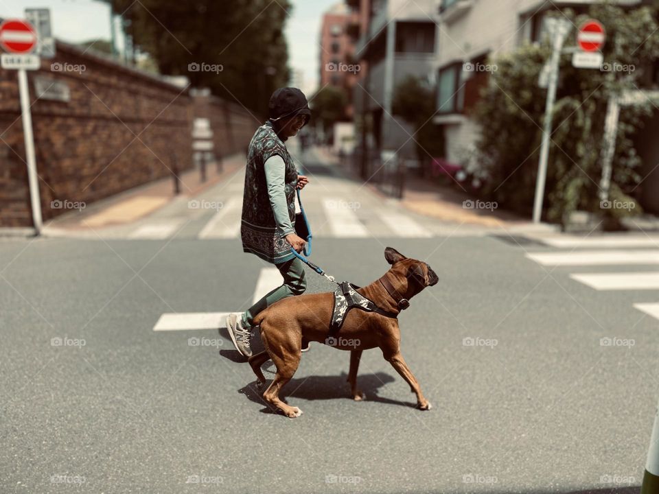 Walking with dog 