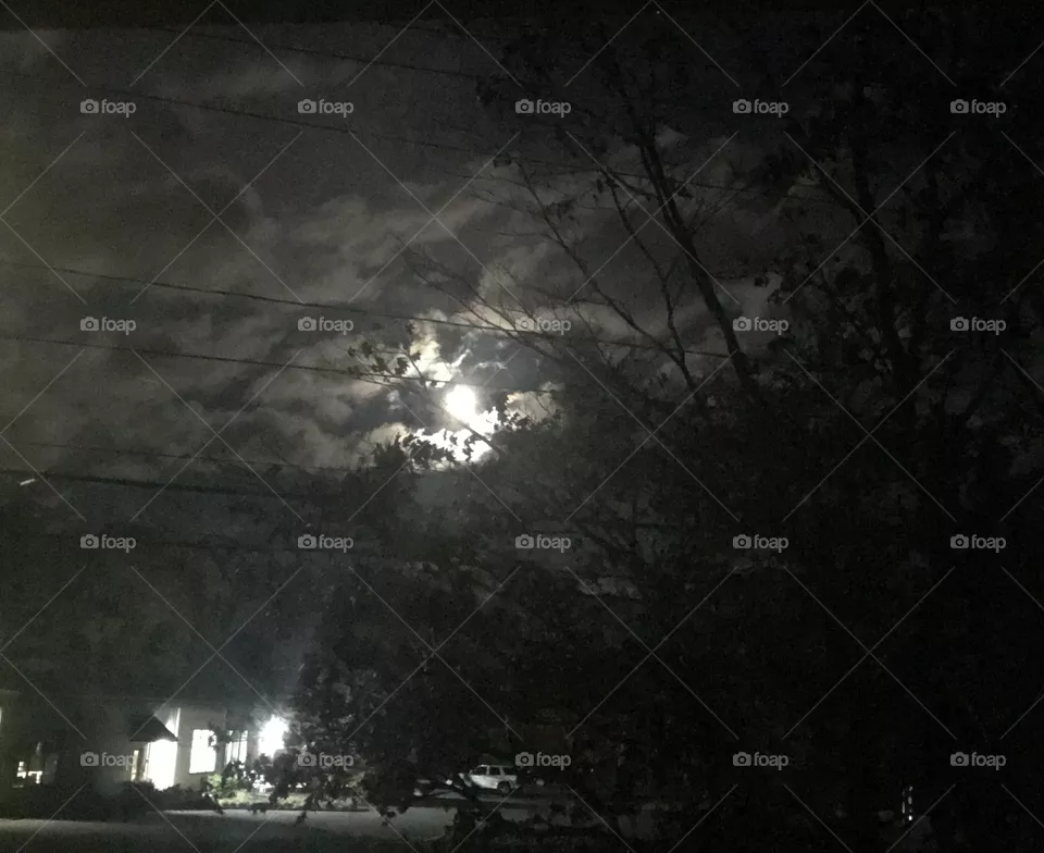 Moon