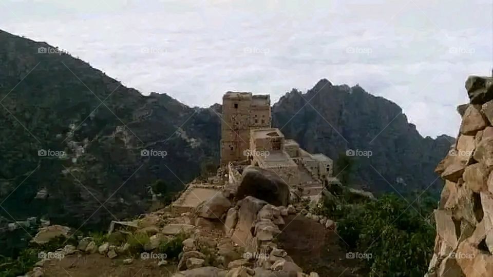 A very beautiful picture, and there is no better picture than it. There is no better picture of green herbs and colorful, red and white roses than it. Glory be to God, the natural and picturesque view, and there is no more