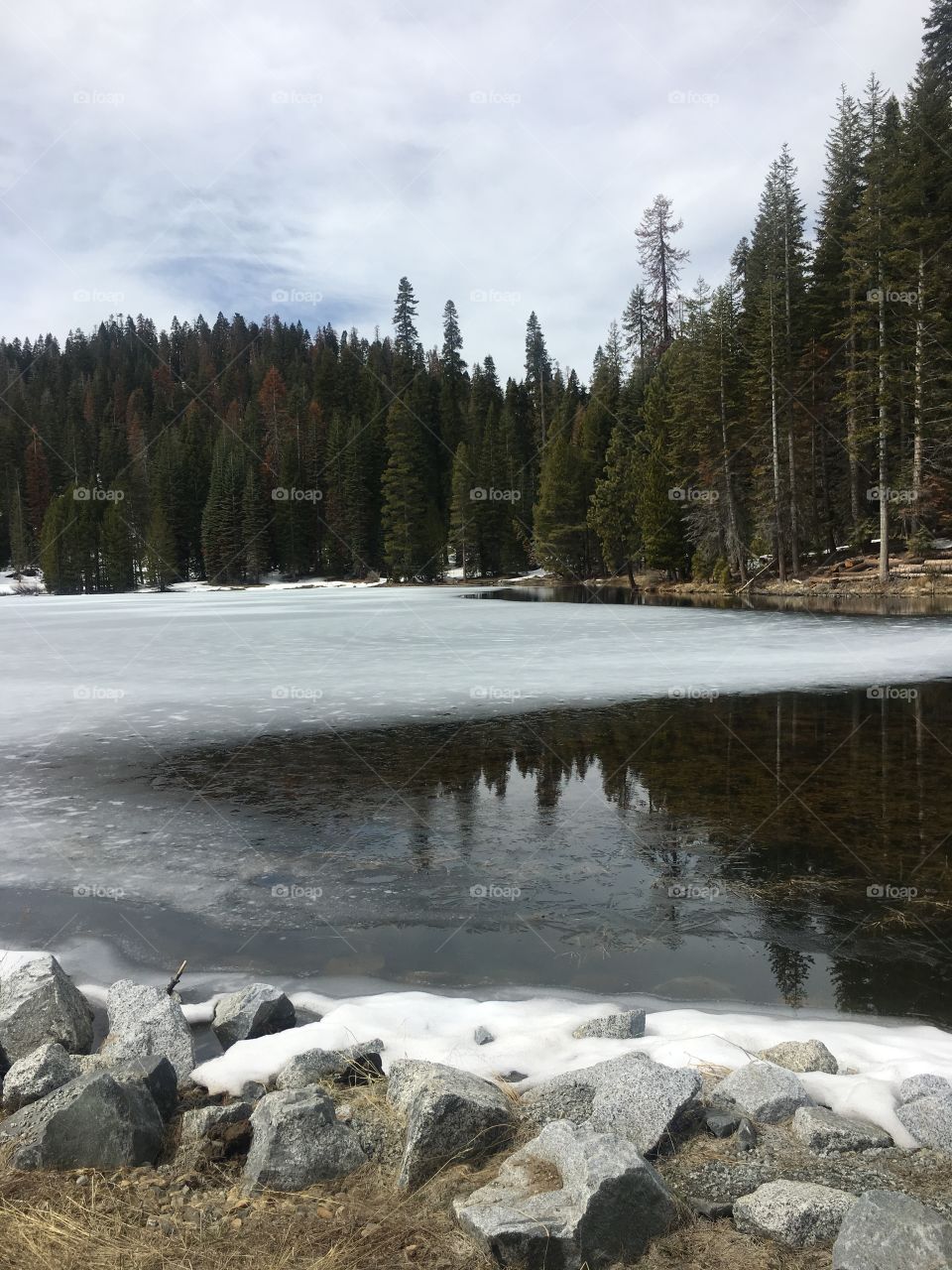 Agua  y nieve en el parque