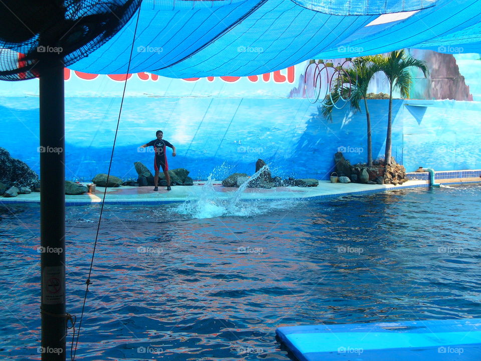 Water, Travel, Ocean, Recreation, Swimming