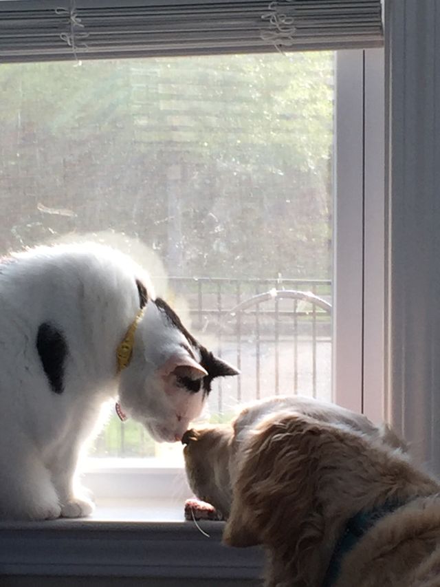 Loving each other!