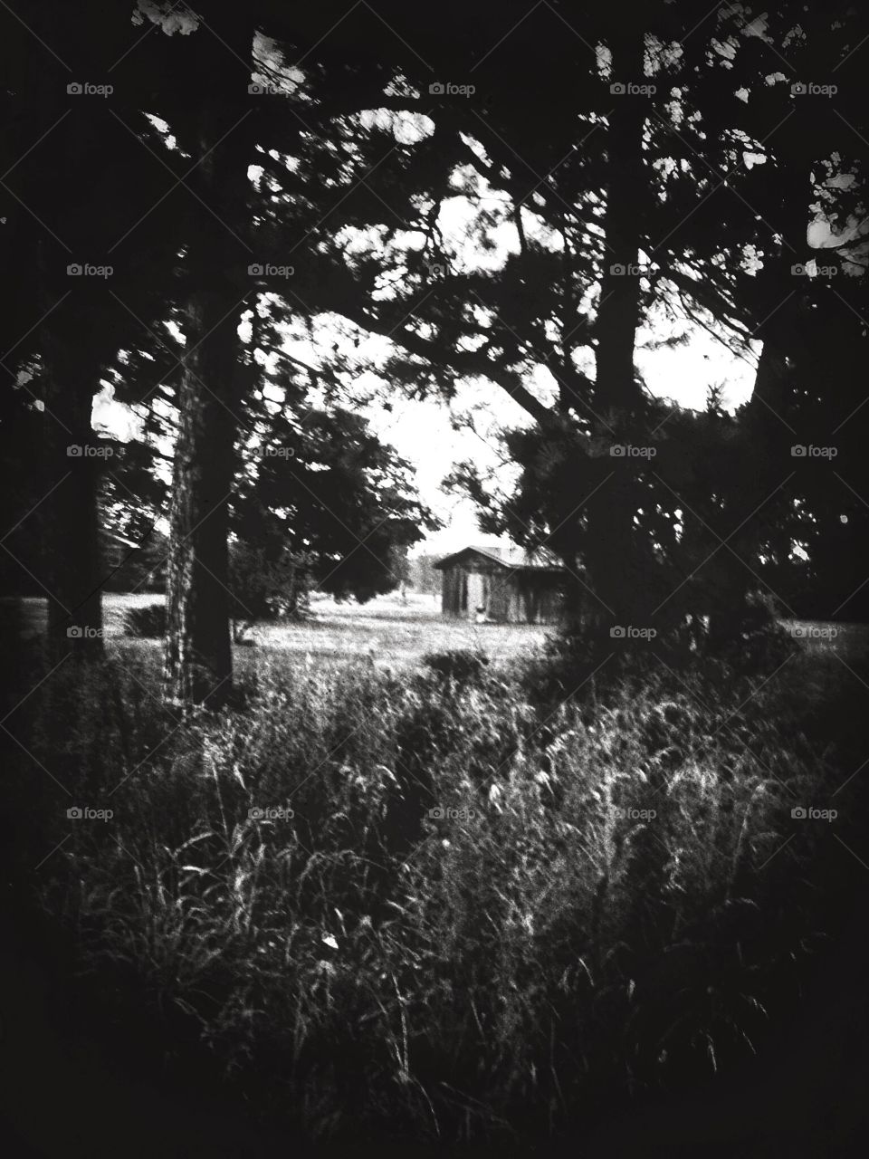 A B&W abstract photo of an old barn or farm house in rural White County, central Arkansas