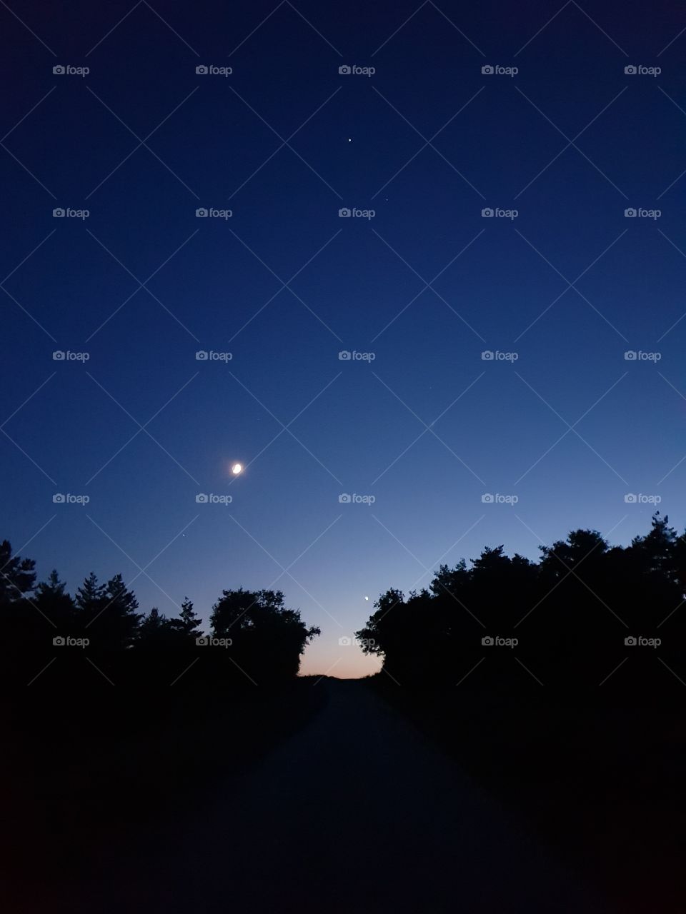 Cuando yo admiro la maravilla de una puesta de sol o la belleza de la luna, mi alma crece para adorar al creador.
(Mahatma Gandhi)