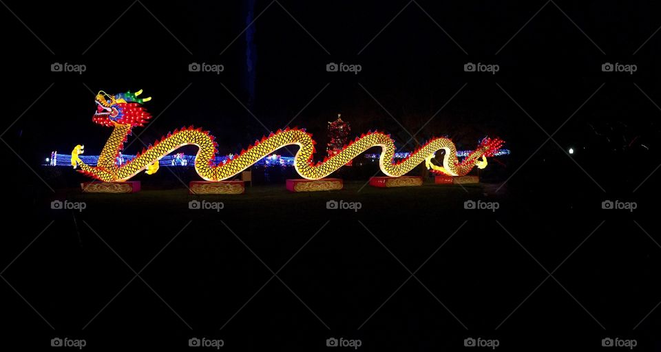 China Lights, dragon