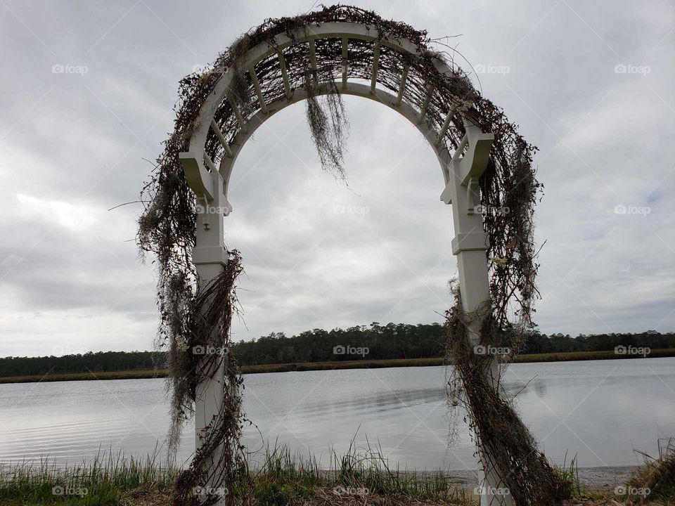 wedding arch covered in vines and Spanish moss on riverbank