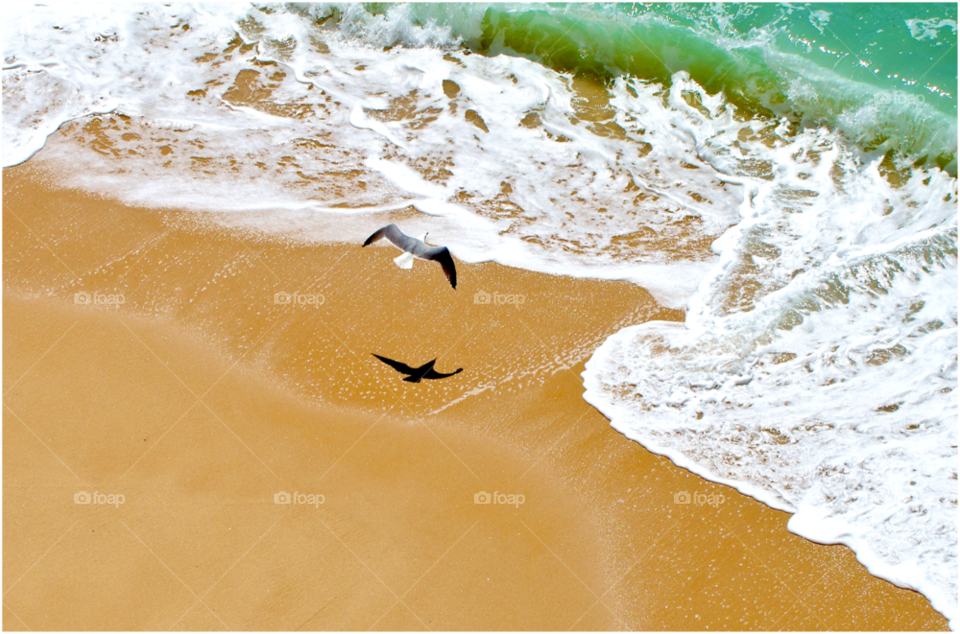 beach ocean shadow sun by KathOnEarth