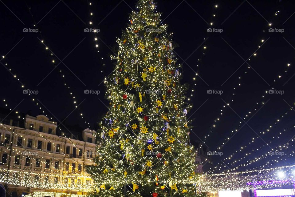 Christmas tree at the city