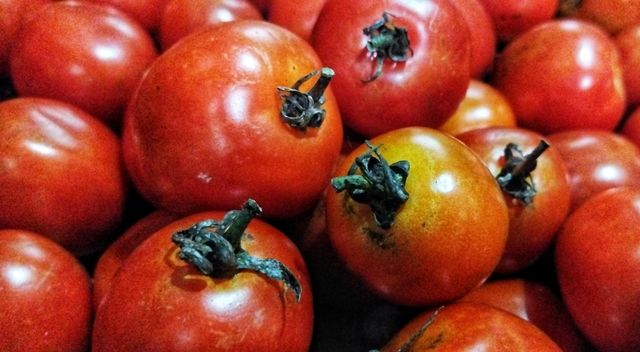 tomato