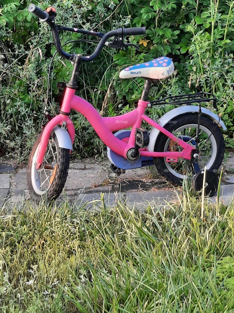 pink kid's bicycle  at summer morning