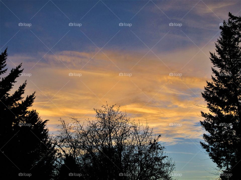 sunset with trees