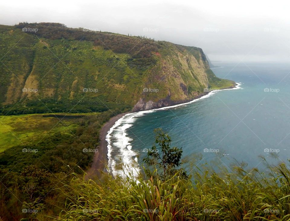 black sand beach in