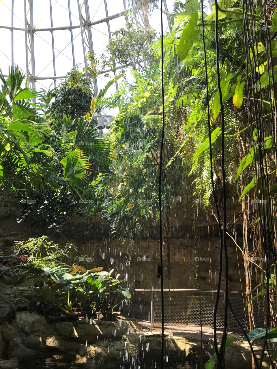 Cockrell Butterfly Center