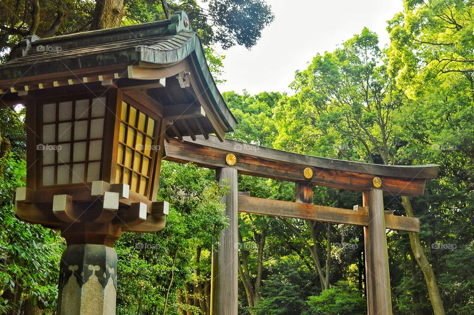 Meiji shrine entrance to the temple 
