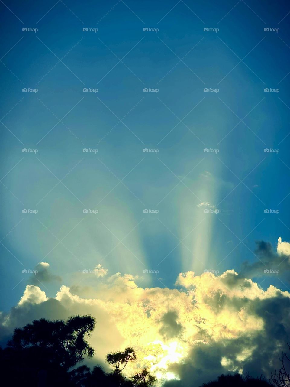 Yellow sunset. Reaching for the stars.