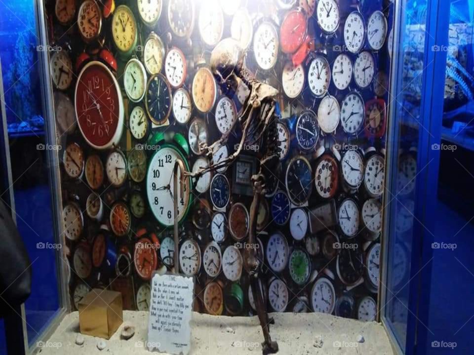 watch collections