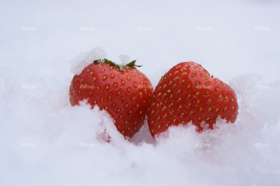 Strawberries on snow